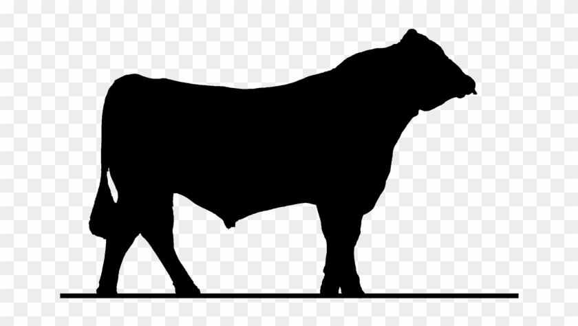 Ox Clipart Cow Herd - Ox Clipart Cow Herd #1764917