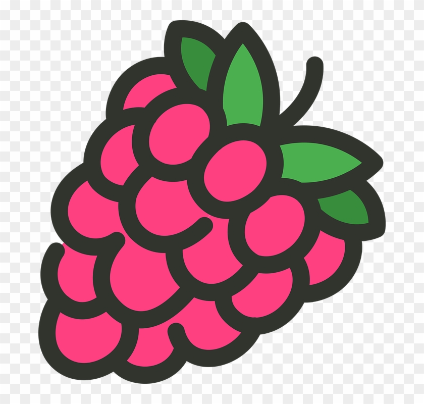 Raspberry Fruit Food - Raspberries Cartoon #1764989