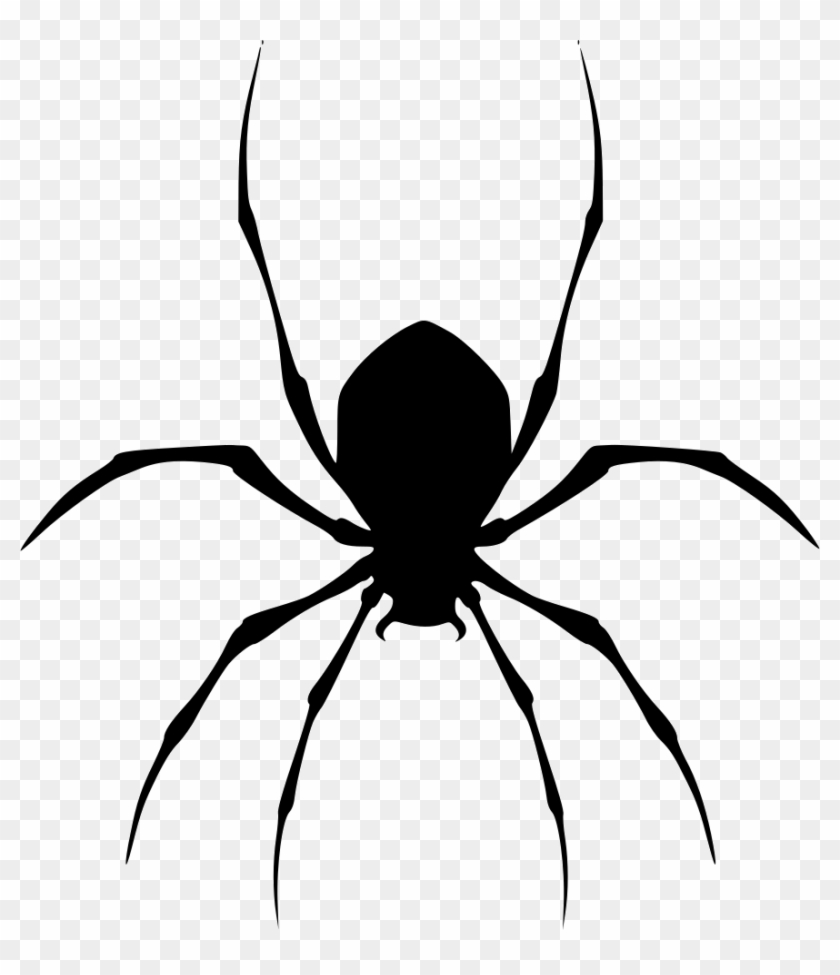 From Free Software To Adobe Photoshop And Illustrator - Spider Svg #1765021