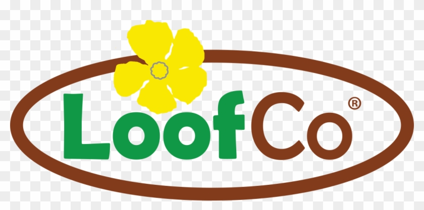 Saber Más - Saber Más #1765128