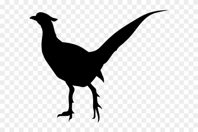 Bird Silhouette Png Transparent Clip Art Image - Pheasant Clip Art Transparent #1765211