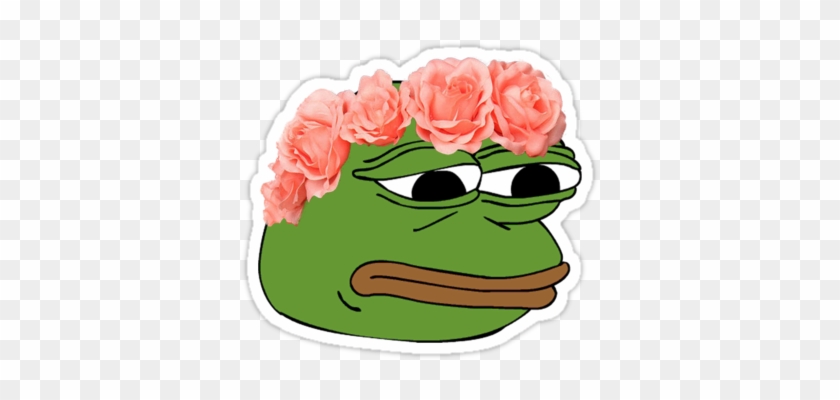 Flower Crown Pepe Frog M ♡ Memes Pinterest Flower Crowns - Pepe Feels Good Man Gif #1765908
