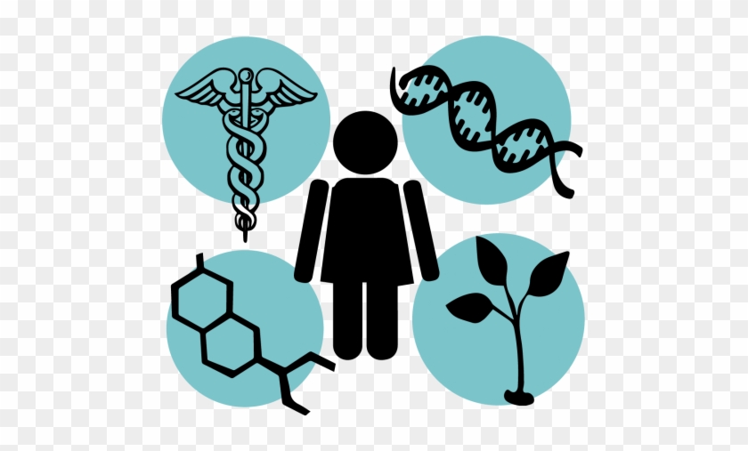 Gender Imbalance In Stem - Physical Therapy Logo Clip Art #1765921