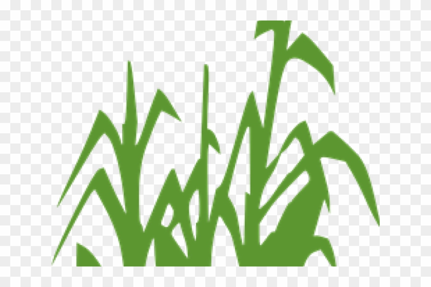 Korn Clipart Corn Field - Korn Clipart Corn Field #1766398