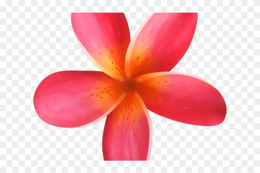 Exotic Clipart Moana - Exotic Clipart Moana #1766601