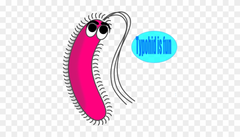 What Does Reproductive Success For The Bacteria Mean - What Does Reproductive Success For The Bacteria Mean #1767077