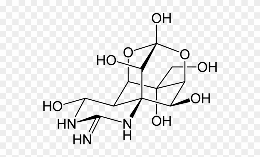 Chemical Structure Of Tetrodotoxin - Chemical Structure Of Tetrodotoxin #1767761