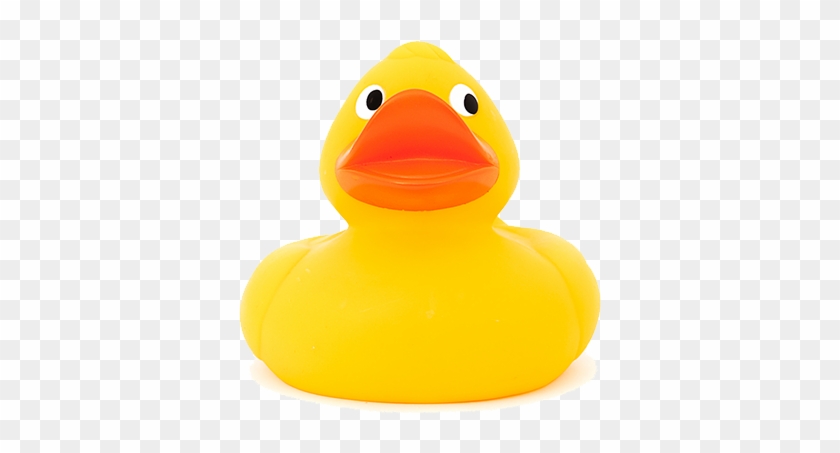 Pool Duck Png - Pool Duck Png #1767952