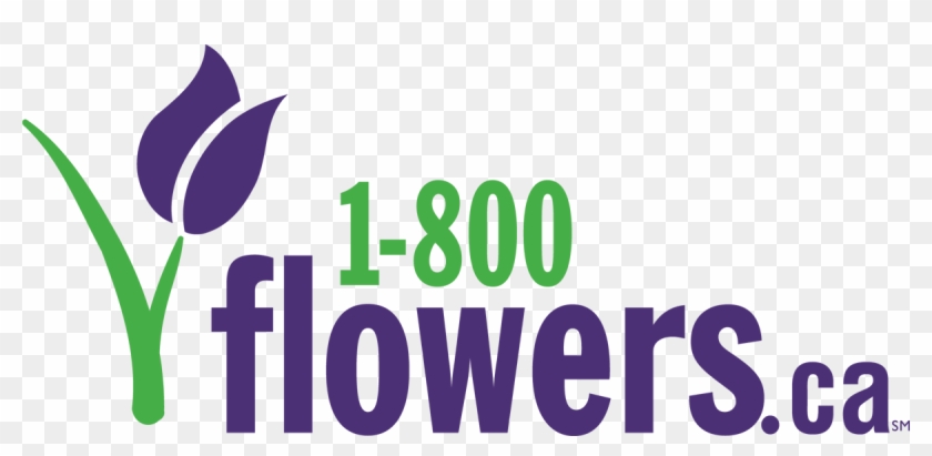 1 800 Flowers Canada Coupon Codes - 1 800 Flowers Canada Coupon Codes #1768538