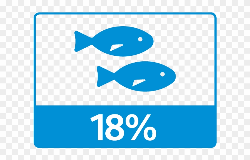 Aquatic Wildlife Ideas Include - Aquatic Wildlife Ideas Include #1768791