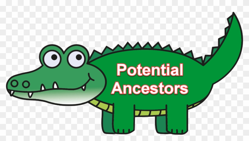 Gator - Gator #1768836