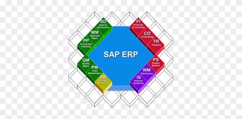 Sap Server Trial Versions Are Restricted And Can Only - Sap Server Trial Versions Are Restricted And Can Only #1769694