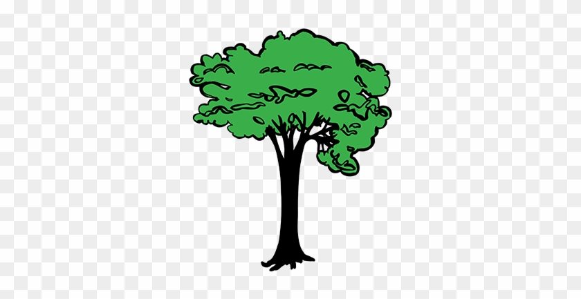 What Kind Of Trees Should You Select - What Kind Of Trees Should You Select #1770399