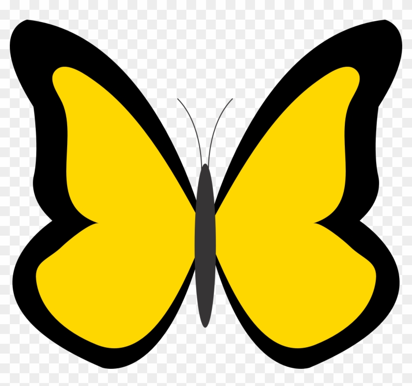 Butterfly 26 Color Colour Gold 1 Peace Xochi - Butterfly 26 Color Colour Gold 1 Peace Xochi #1770744