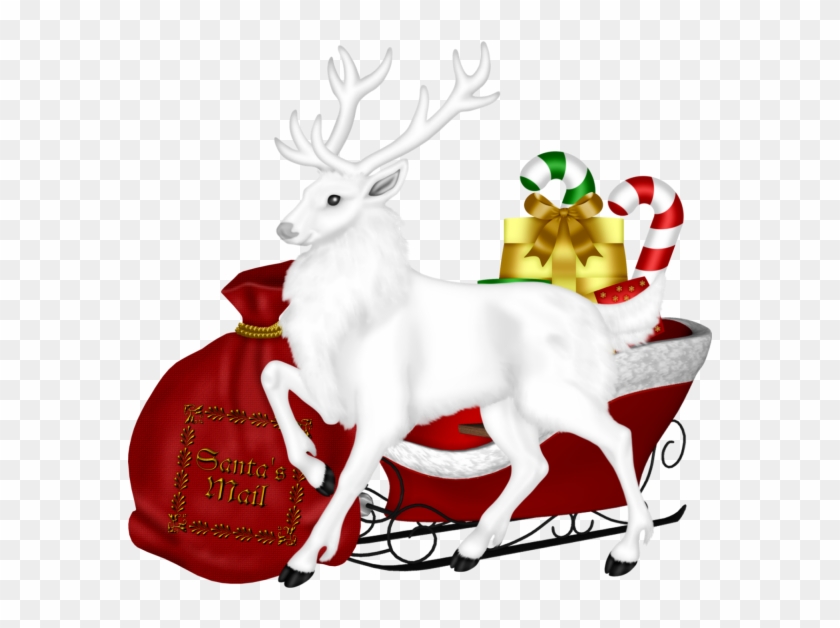 Cards - Reindeer #268434