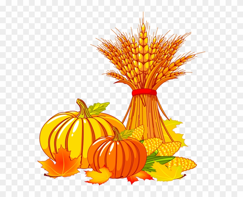 Harvest - Corn Stalks And Pumpkin Clipart #268896
