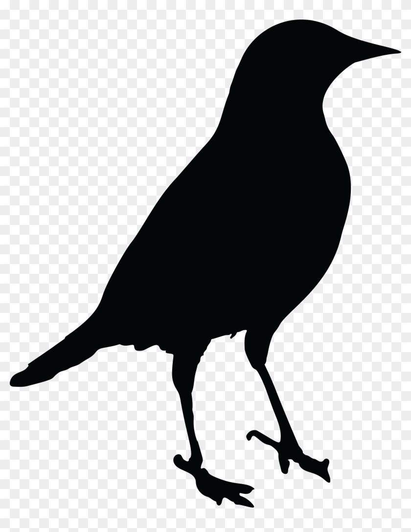Free Clipart Of A Black Silhouetted Bird - Clip Art Black Bird #268954