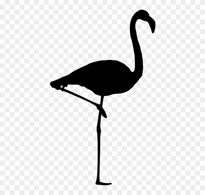 Silhouette, Flamingo Vector, Flamingo, Birds, Tropical - Silhueta Flamingo Png #268956