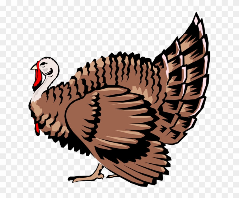 Farm Turkey Cliparts - Turkey Free Clip Art #269006