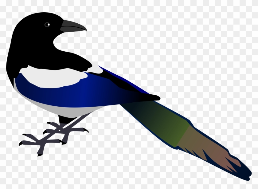 Free Vector Magpie Clip Art - Magpie Clipart #269044