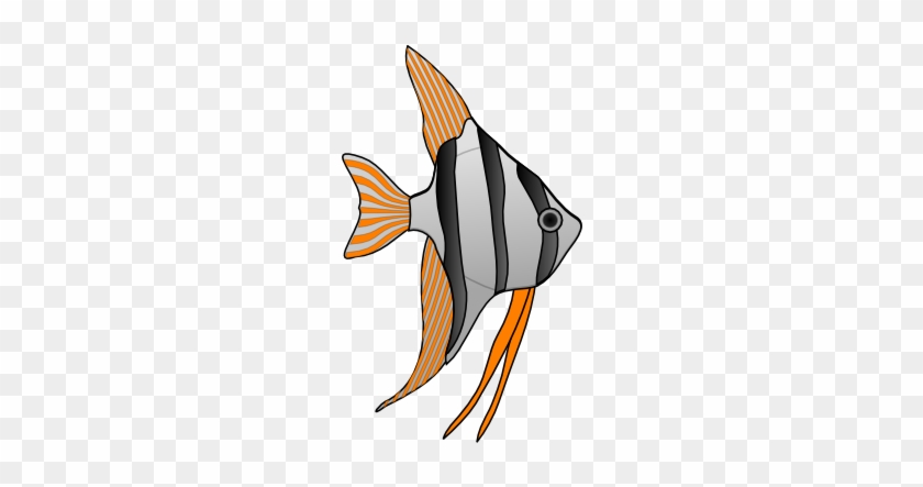 Fish With Orange Stripes Clip Art At Clker - Cartoon Angel Fish #269293