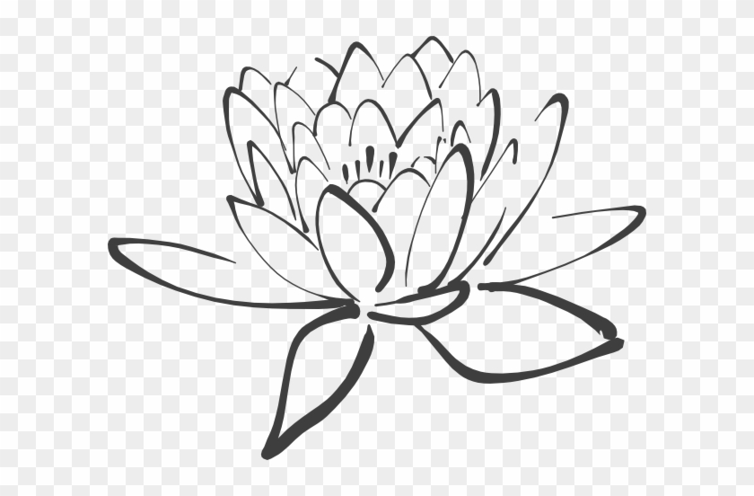 Lotus Flower Outline - Black And White Lotus #269477