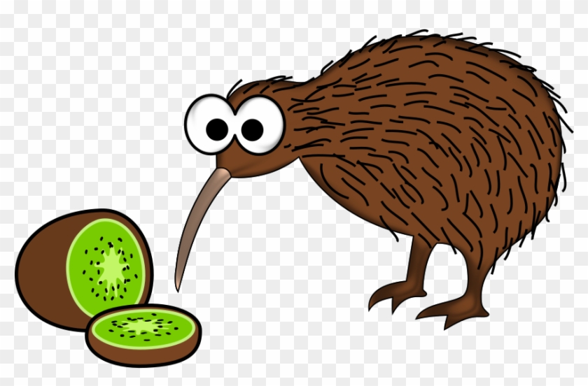 Medium Image - Kiwi Bird And Kiwi Fruit #270060