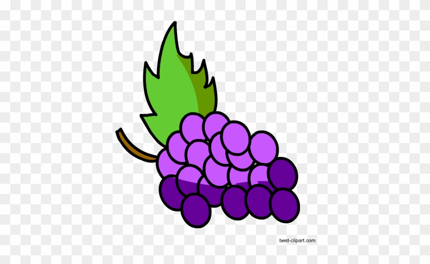 Free Grapes Clip Art - Grape #270117