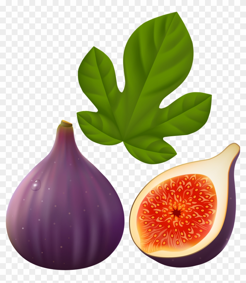 fig fruits images clipart