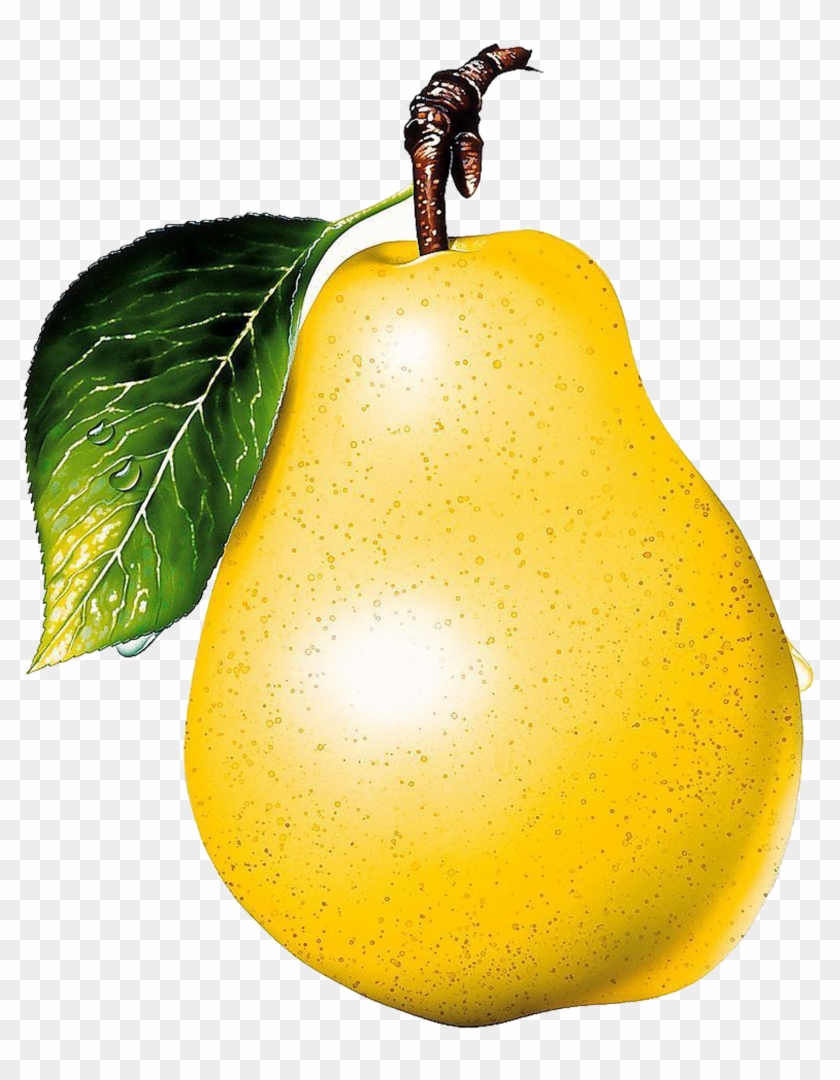 Asian Pear Macintosh Fruit Clip Art - Asian Pear Macintosh Fruit Clip Art #270390