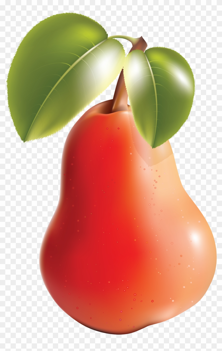 Pear Png Image - Pear And Apple Vector #270435