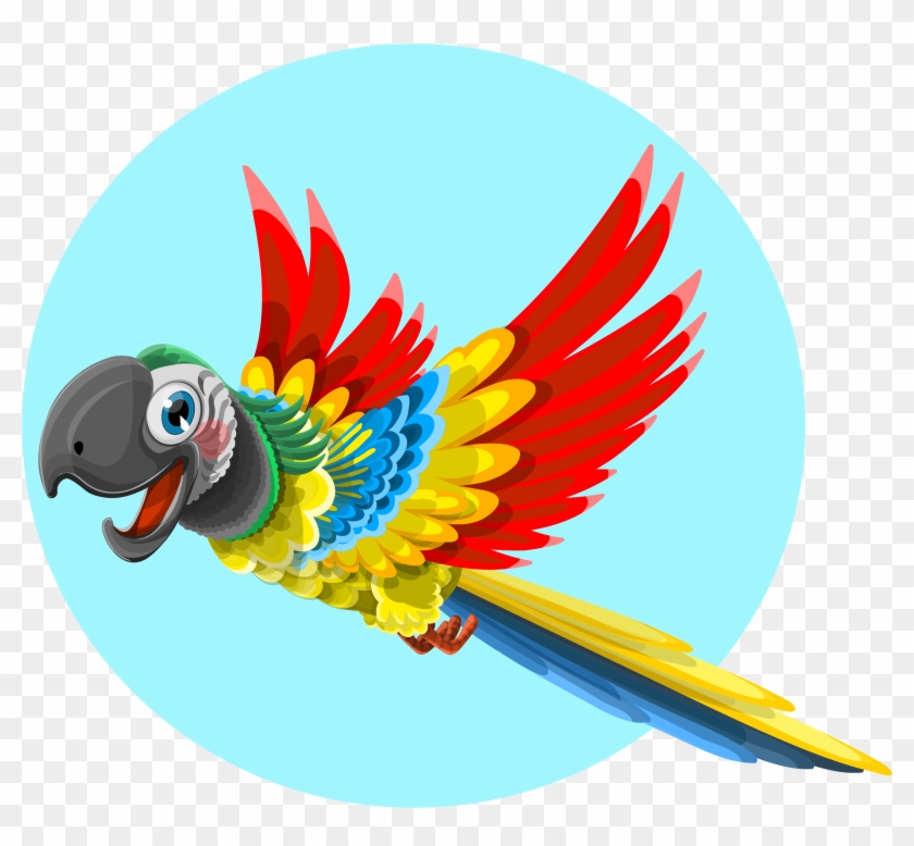 Free Macaw Bird Clip Art #270535