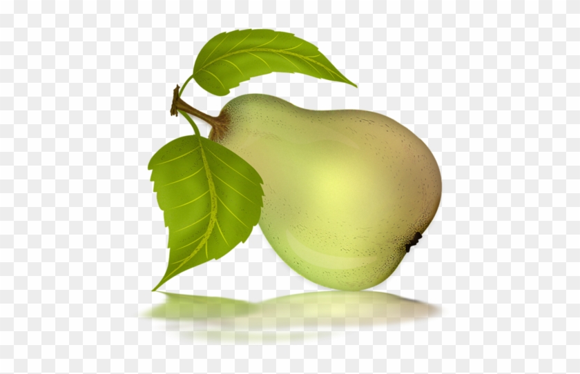 Pear 9 - Avocado #270586