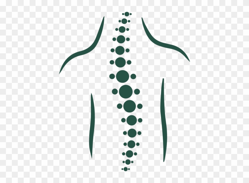 Our Spinal Cord Injury Lawyers Can Help If You've Had - Spinal Cord Clip Art #44739