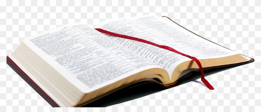 Png Bible - Open Bible Hd Png #45173