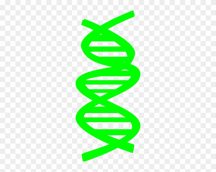 Dna Clip Art Dna Clip Art At Clker Vector Clip Art - Dna Clip Art #46451