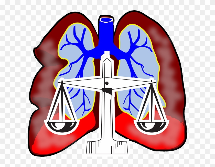 Diagram, Human, Scale, Air, Lawyer, System - Lungs Clip Art #46570