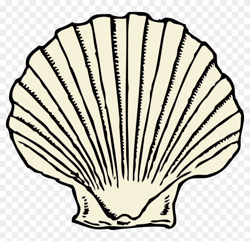 Clipart - Shells Clipart #47100