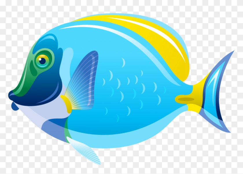 Fish Clip Art For Kids - Clip Art Fish Png #47207