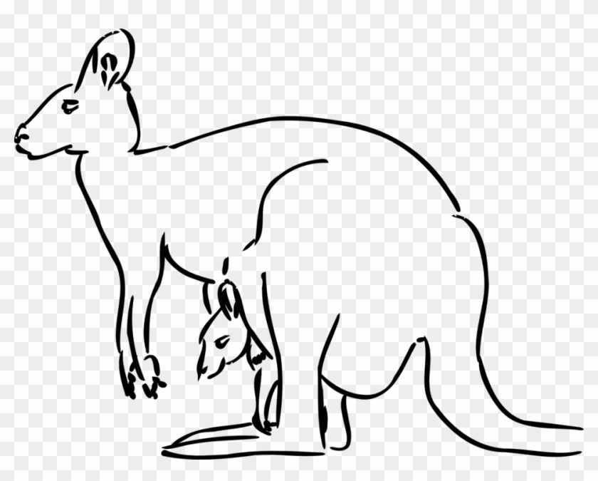 Kangaroo - Kangaroo Drawing Png #47410