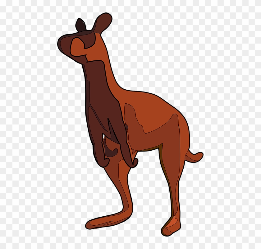 Kangaroo Png Images - Kangaroo #47450