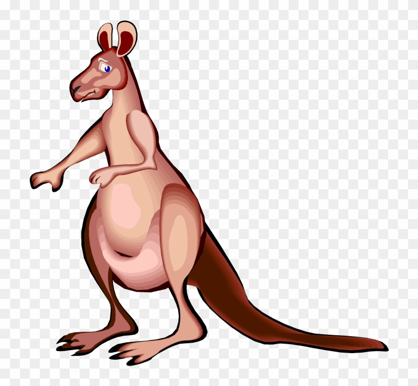 Free Kangaroo Clipart - Gifs Animados Canguro #47488