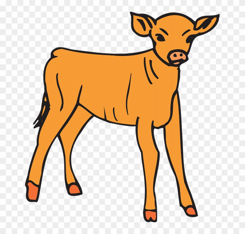 Calf Cattle Computer Icons Clip Art - Calf Cattle Computer Icons Clip Art #47663