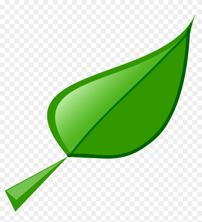 Illustration Of A Green Leaf - Leaf Clip Art #47614