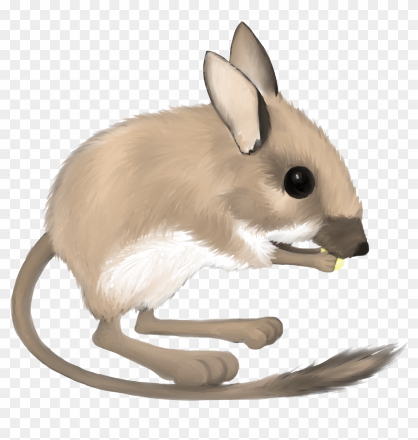 Kangaroo Rat Clipart - Desert Kangaroo Rat Clipart #47679