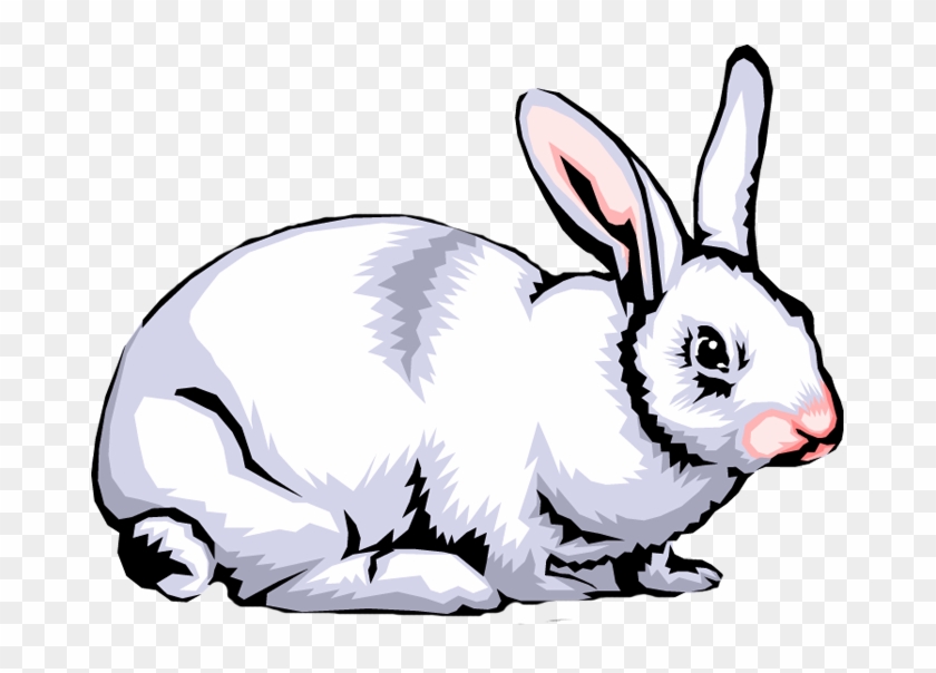 Rabbit Clip Art Images Free Clipart Png - Clipart Images Of Rabbit #48196