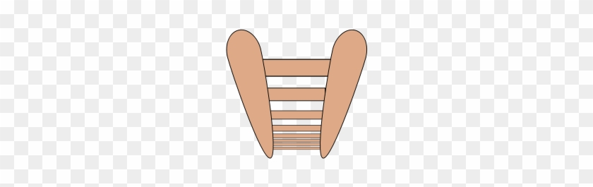 Free Ladder - Illustration #48273