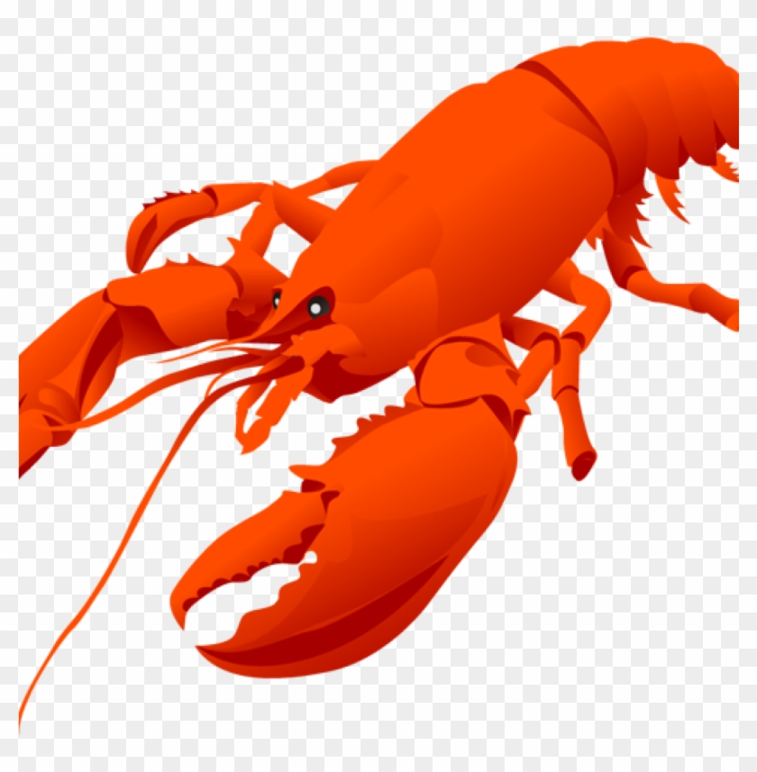 Lobster Clipart Clip Art Of A Lobster Clipart Panda - Lobster Illustration #48495