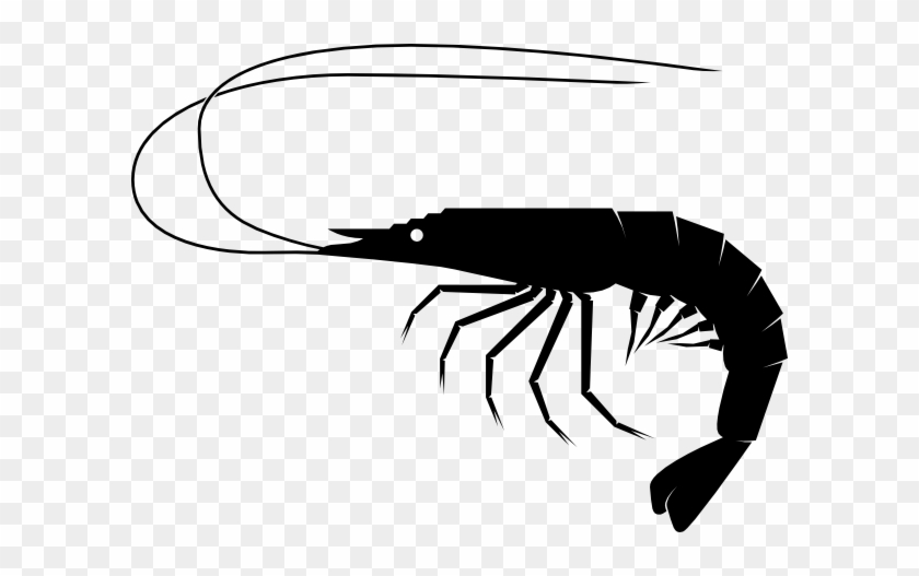 Black Shrimp Icon Clip Art At Clker - Shrimp Clipart Black And White #48497