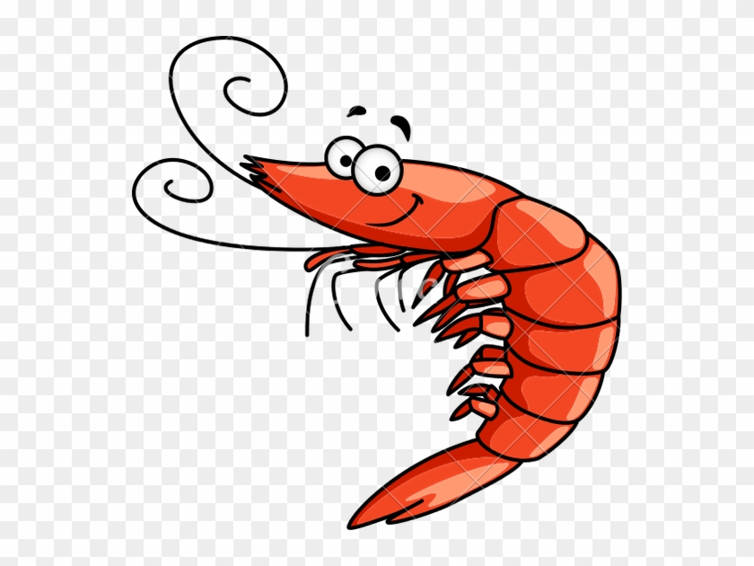 Royalty-free Drawing Shrimp Clip Art - Shrimp Clipart #48515